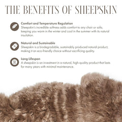 Silky Soft Taupe Genuine Sheepskin Rug