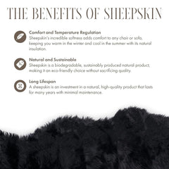 Large Silky Soft Black Genuine Sheepskin Rug