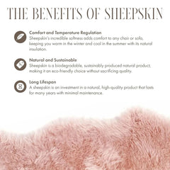 Silky Soft Rose Pink Genuine Sheepskin Rug