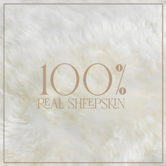 Large Silky Soft Ivory Genuine Sheepskin Rug