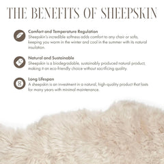 Silky Soft Light Beige Genuine Sheepskin Rug