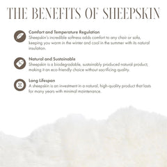 Large Silky Soft Ivory Genuine Sheepskin Rug